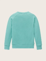 Raglan dukserica sa printom - Zelena_1658794