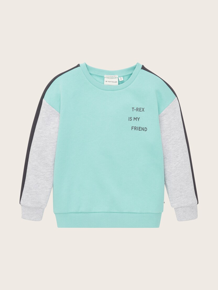 Večbarvni pulover - Zelena-1033095-11790